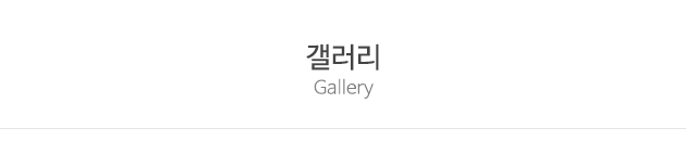조이풋_내용영역